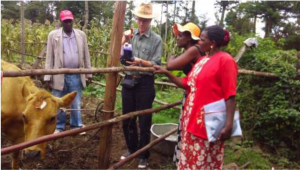 A quick lesson on deworming cows from Dr. John