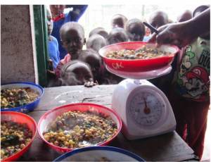 Measuring the typical serving of githeri: we do this so that we can estimate the amount of nutrients in a typical child’s serving.