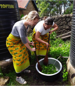 Carefully washing the stinging nettle