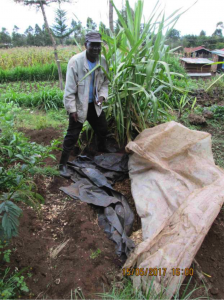 A silage pit with Stephen Mutua on his farm