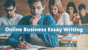 Online Business Essay Writing