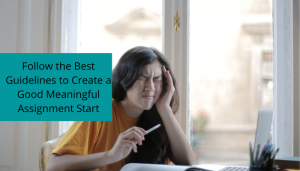 Follow the Best Guidelines to Create a Good Meaningful Assignment Start