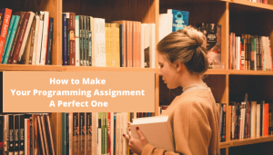 How to Make Your Programming Assignment A Perfect One