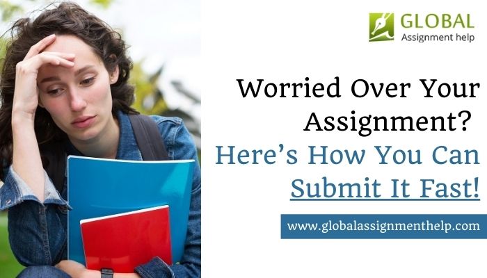 Worried Over Your Assignment? Here’s How You Can Submit It Fast!