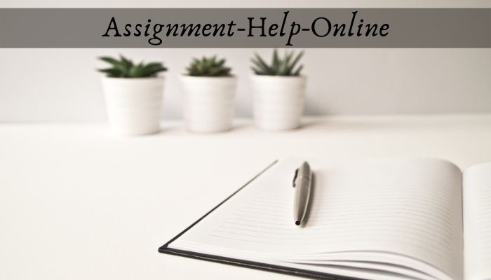 Assignment-Help-Online