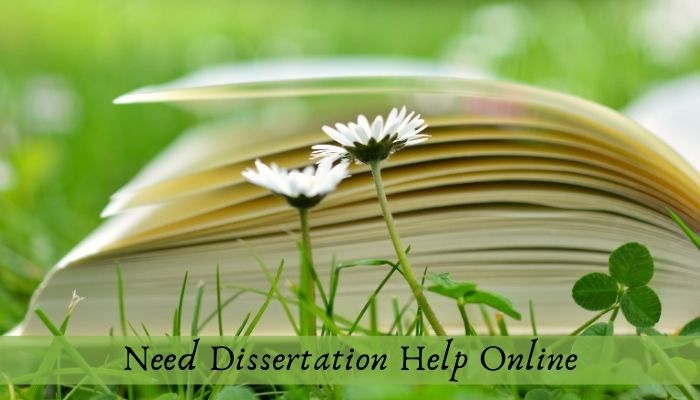 Steps You Should Know for Structuring 10k Words Dissertation!