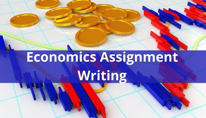 Problems Your Economics Assignment Need to Address | Read More to Know