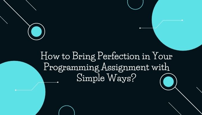 How to Bring Perfection in Your Programming Assignment
