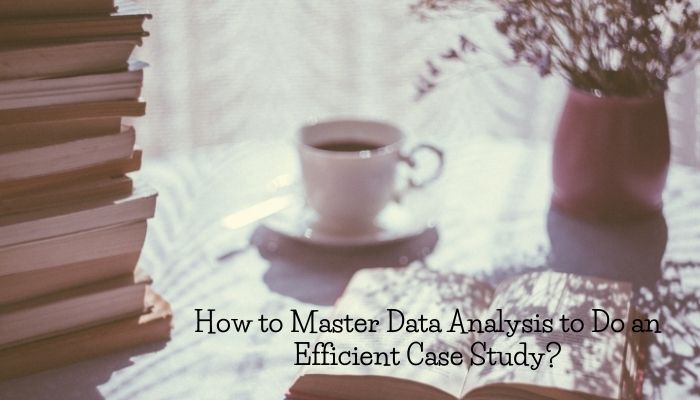 How to Master Data Analysis to Do an Efficient Case Study?