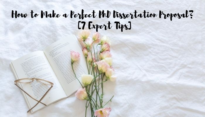 How to Make a Perfect PhD Dissertation Proposal [7 Expert Tips]