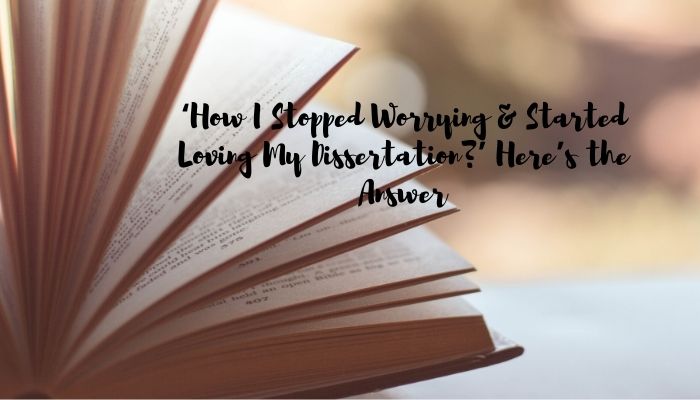 ‘How I Stopped Worrying & Started Loving My Dissertation’ Here’s the Answer